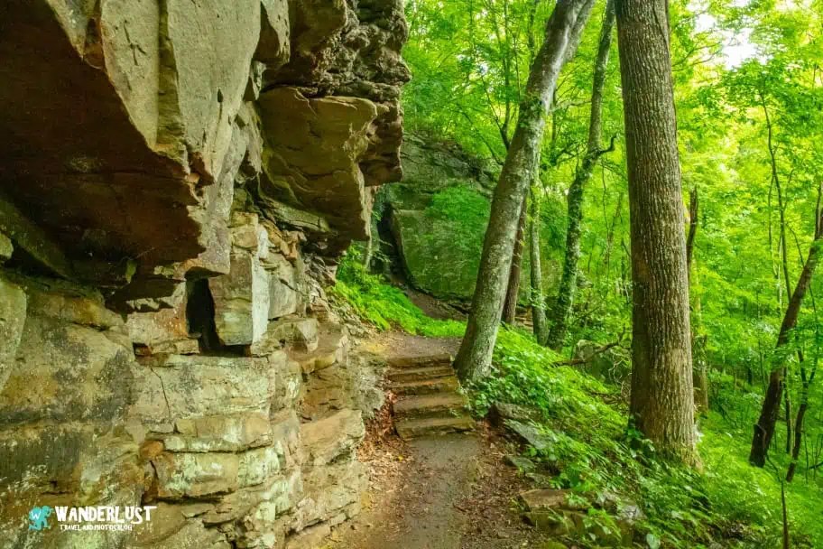 New River Gorge National Park Guide