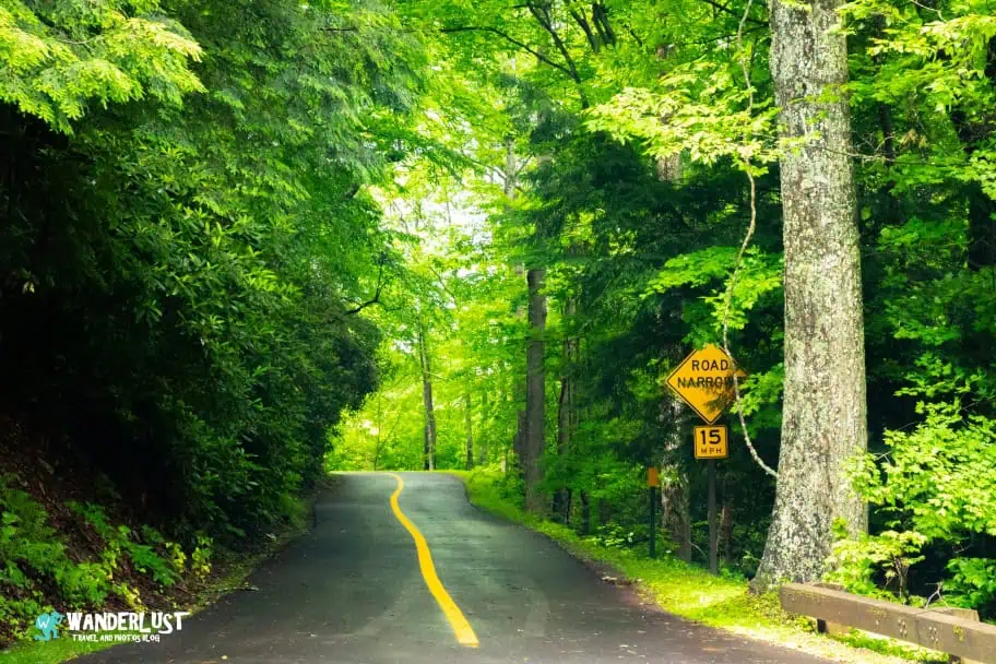 Getting to New River Gorge