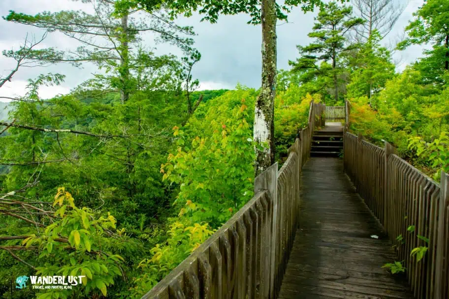 New River Gorge National Park Guide