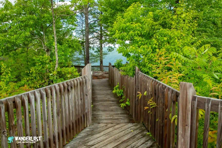 New River Gorge National Park Guide