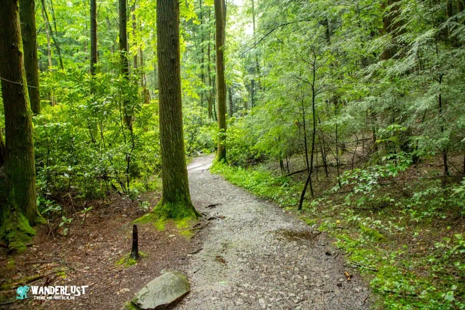 New River Gorge National Park Guide