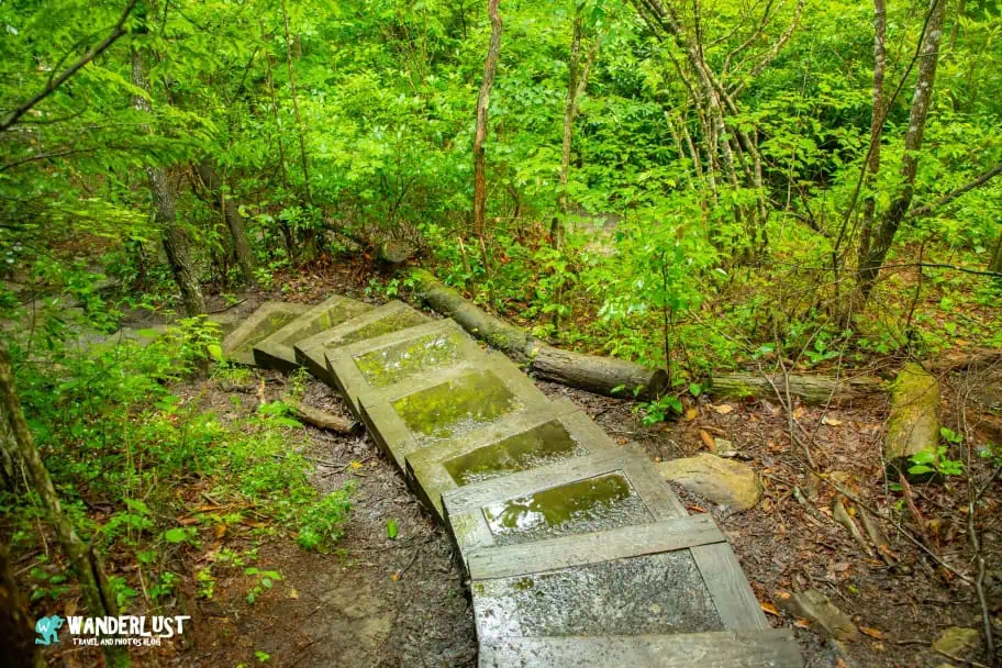 New River Gorge National Park Guide