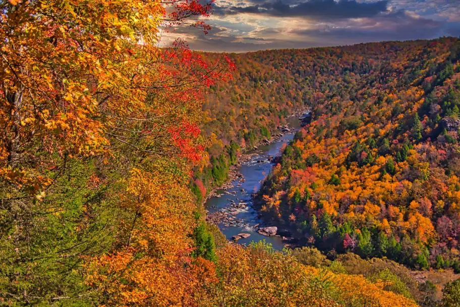 Autumn in the New River Gorge