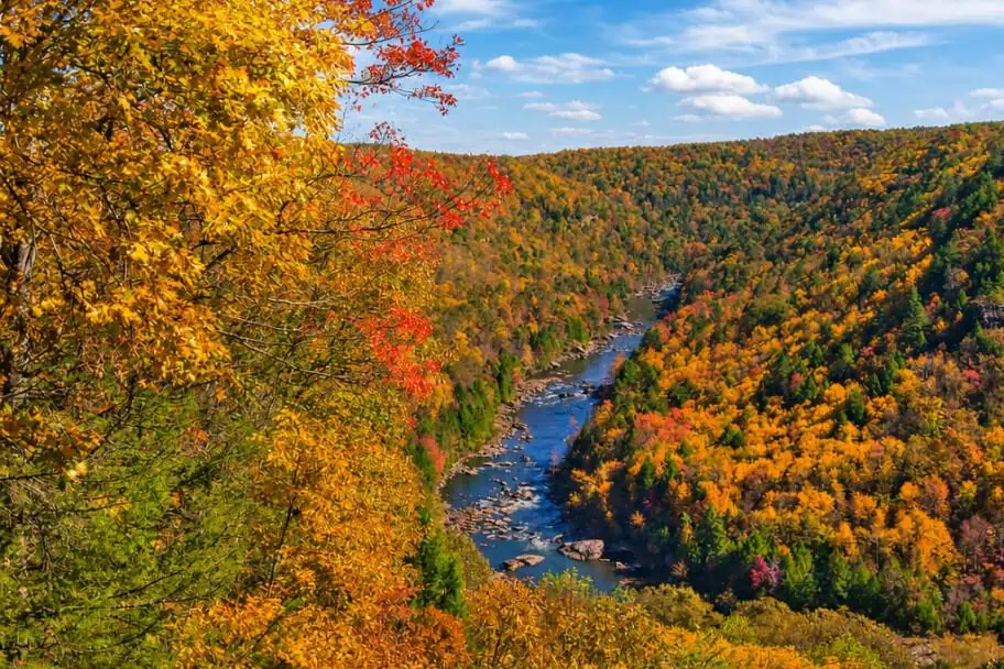 Autumn in the New River Gorge Autumn in the New River Gorge