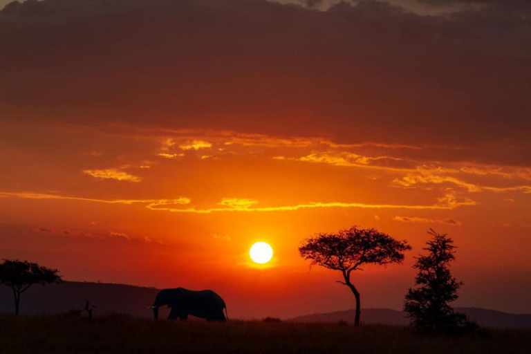Top 15 Tanzania Safari Locations: A Guide for Wildlife Enthusiasts