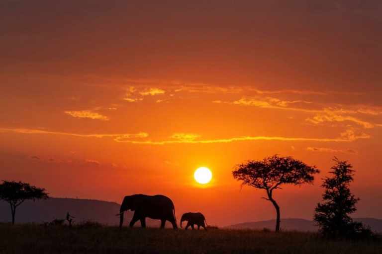 Top 15 Tanzania Safari Locations: A Guide for Wildlife Enthusiasts