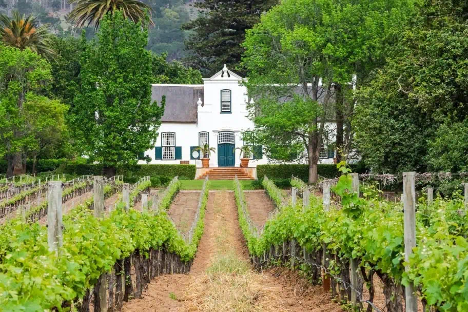 Things to Do in South Africa - Wine Tour