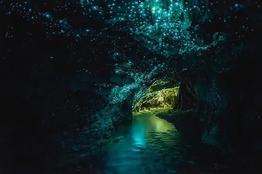 Glow Worms at Waitomo Caves