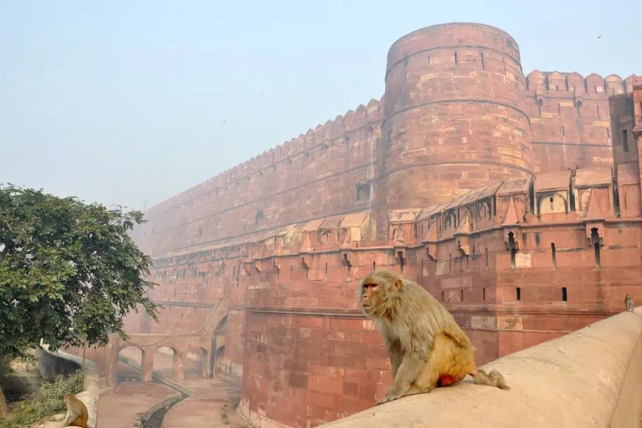 Red Fort in Delhi, India