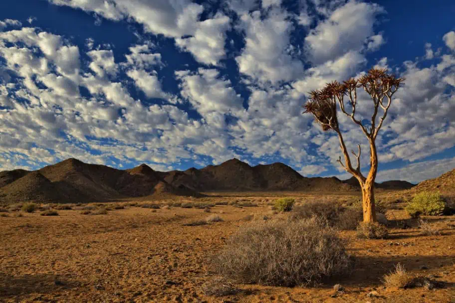Things to Do in South Africa - Richtersveld Transfrontier Park