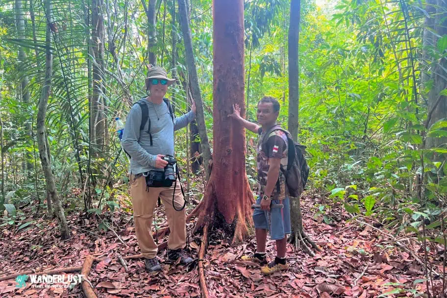 The Amazon Rainforest Amazon Rainforest Packing Guide - General Packing Guidelines