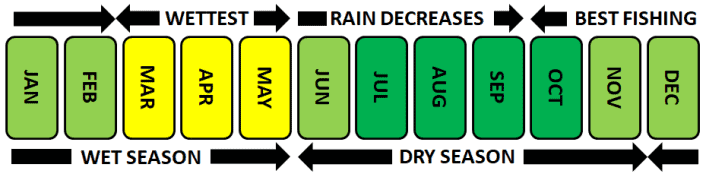 Best Months to Visit the Brazilian Amazon in Manaus Chart
