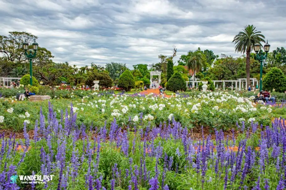 Top Travel Photos of 2024 - Palermo Rose Garden