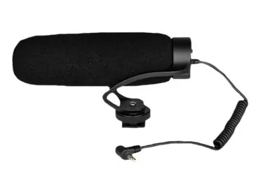 Amazon Rainforest Photography Guide