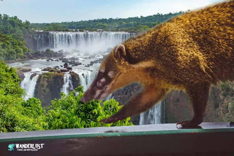 Iguazu Falls Photography Guide - Creative Compositions