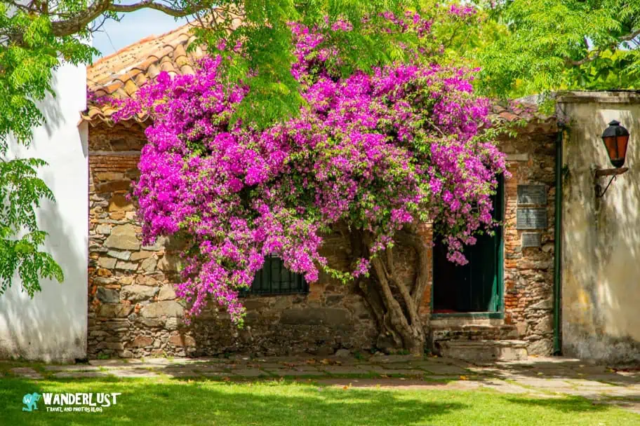 colonia del sacramento guide