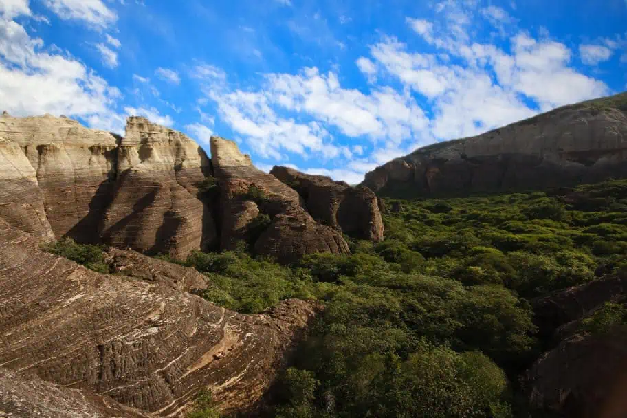 Top Things to Do in Brazil - Sera da Capivara National Park