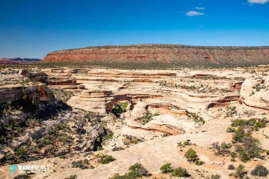 Natural Bridges National Monument