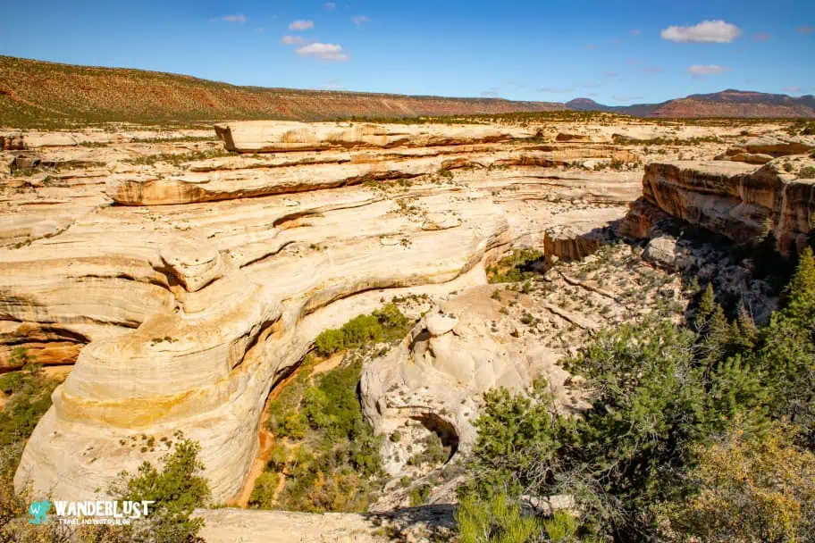Natural Bridges National Monument
