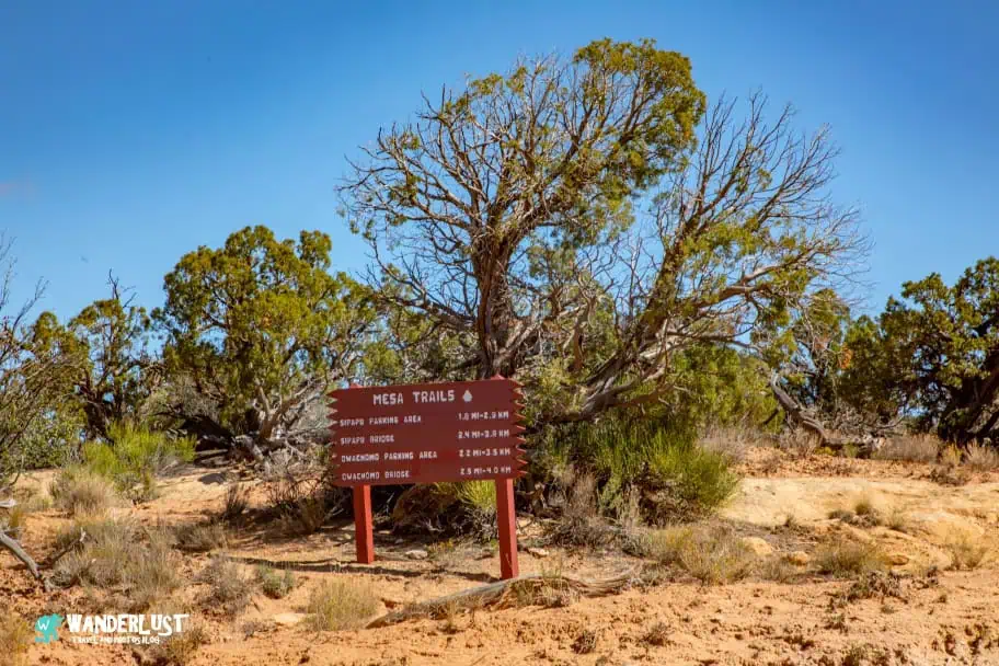 Natural Bridges National Monument