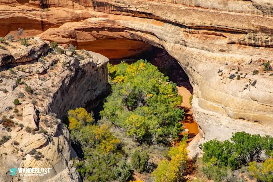 Natural Bridges National Monument