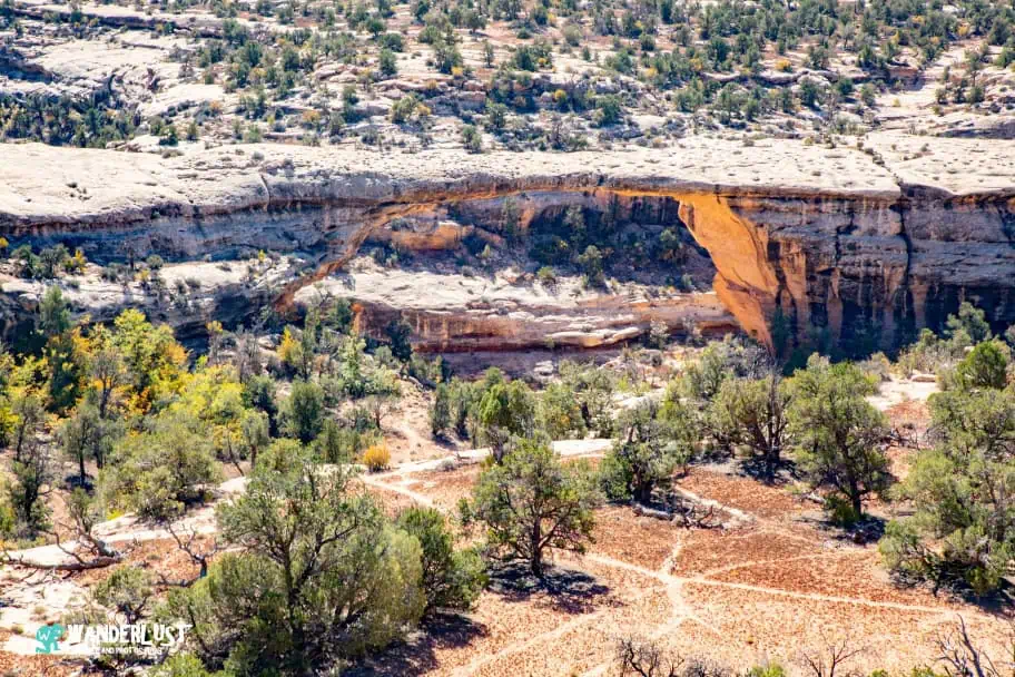 Natural Bridges National Monument