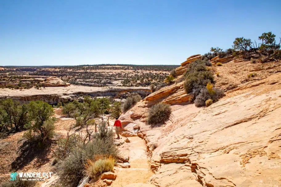 Hiking in Natural Bridges National Monument