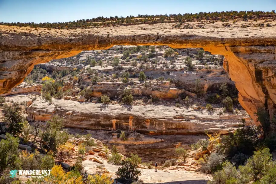 Natural Bridges National Monument: A Must-Visit Destination