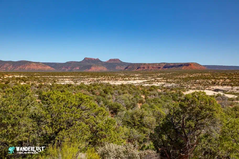 Bears Ears Buttes