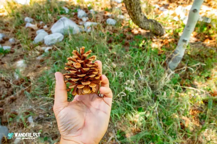 Leave No Trace Photography - Leave What You Find