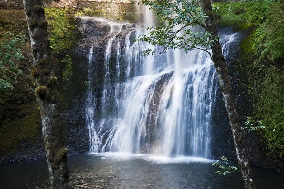 Silver Falls State Park