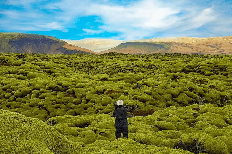Iceland Lava Fields Iceland Entrance Requirements - Iceland Lava Fields