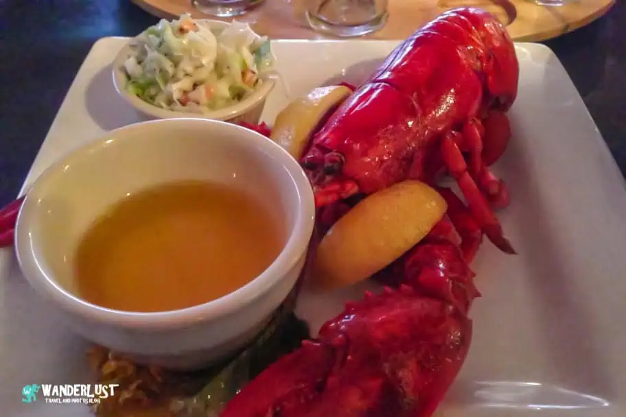 Maine Lobster