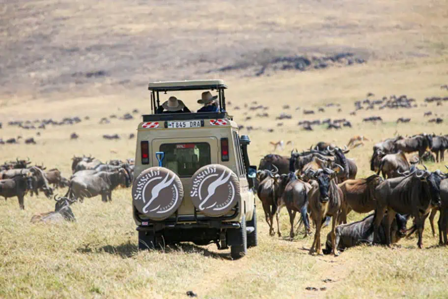 Capture Tanzania's Untamed Beauty - Serengeti National Park