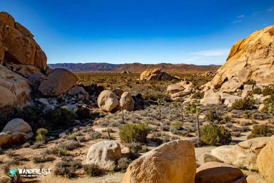 California Travel - Joshua Tree National Park