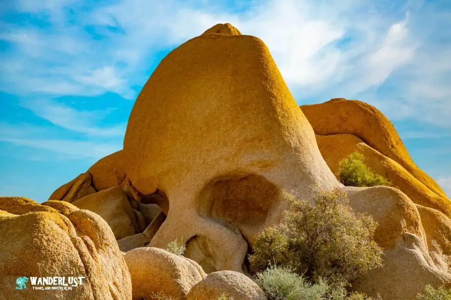 California Travel - Joshua Tree National Park