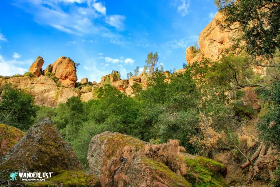 California Travel - Pinnacles National Park