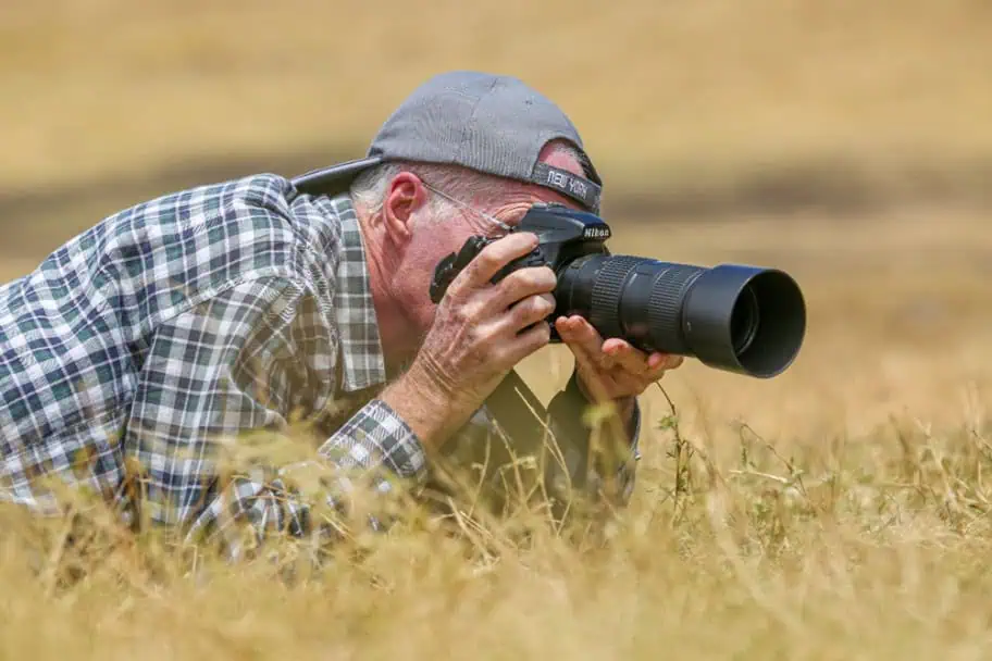 Through the Lens: Capture Tanzania’s Untamed Beauty on Safari