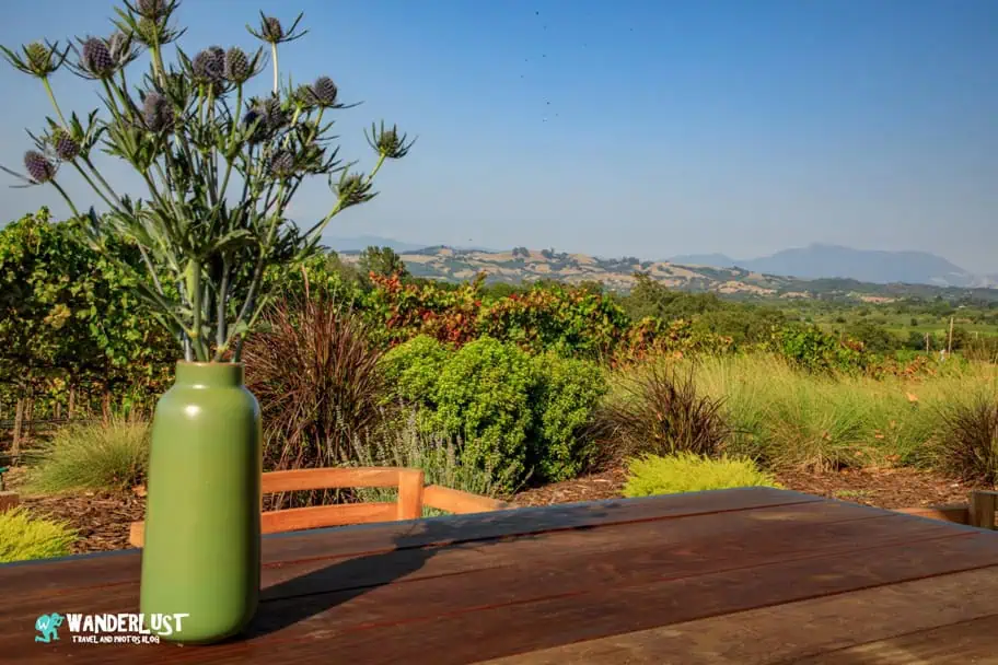 California Travel - Sonoma Valley