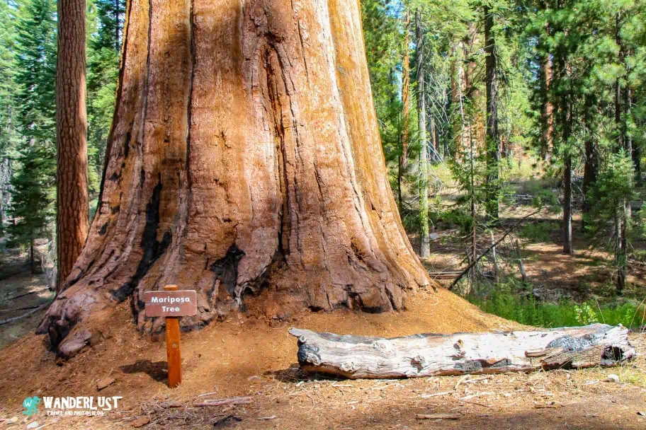 California Travel - Yosemite National Park