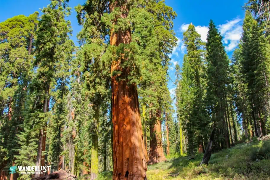 California Travel - Yosemite National Park