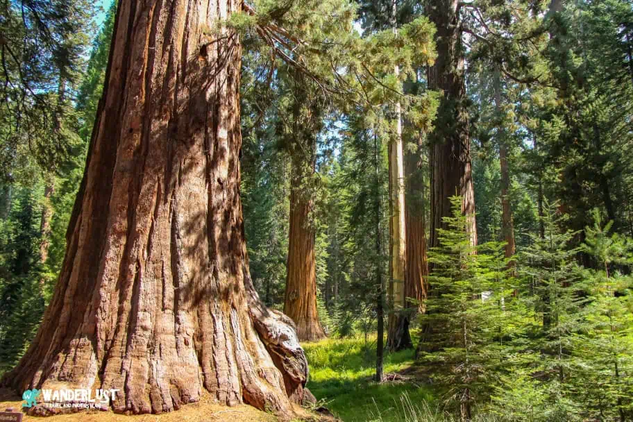 California Travel - Yosemite National Park