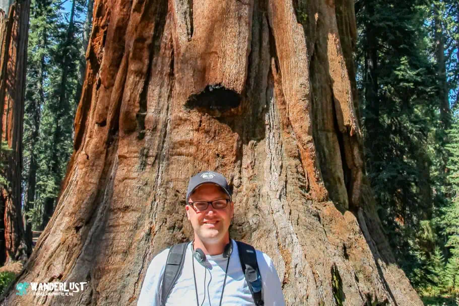 California Travel - Yosemite National Park