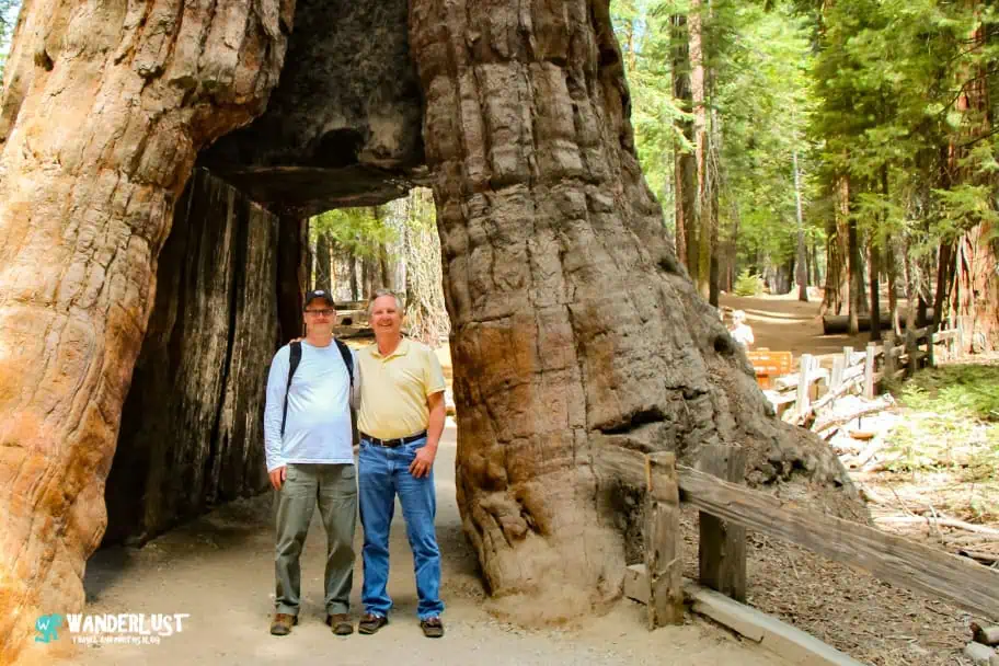 California Travel - Yosemite National Park