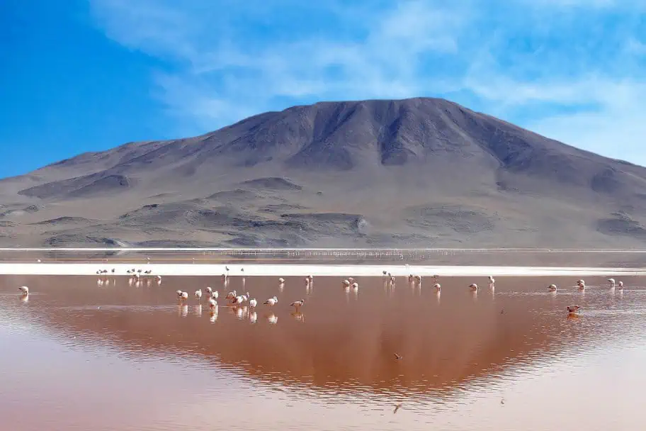 Laguna Colorada, Bolivia