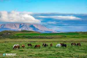 My Top Travel Photos of 2025: Stunning Destinations