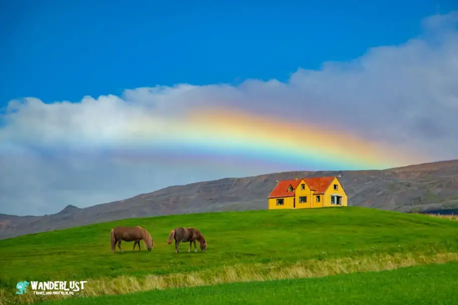 Northwest Iceland Guide - Icelandic Horses