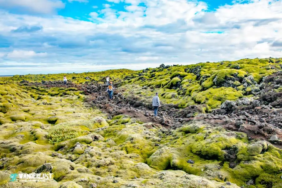 South Iceland Guide - Eldhraun Lava Field