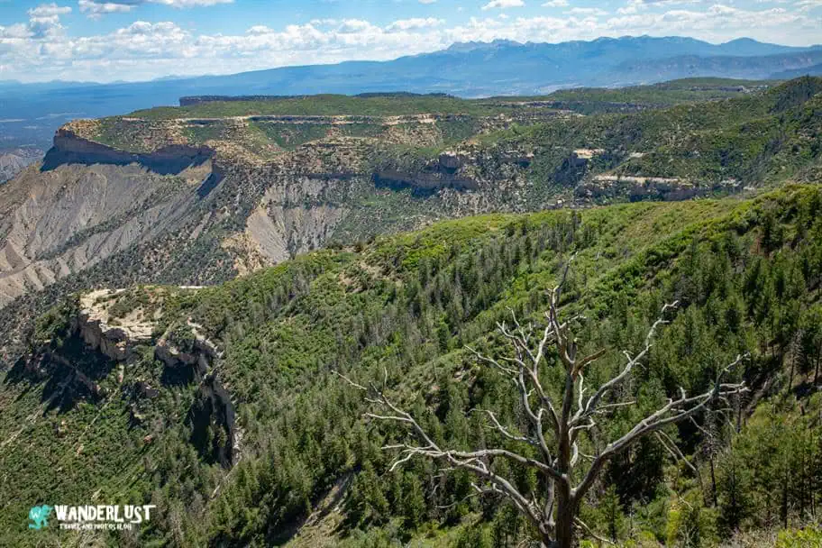 Mesa Verde - Park Point Overlook