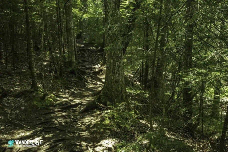 Pictured Rocks Travel Guide